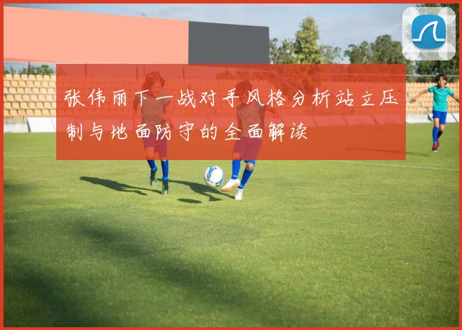 张伟丽下一战对手风格分析站立压制与地面防守的全面解读