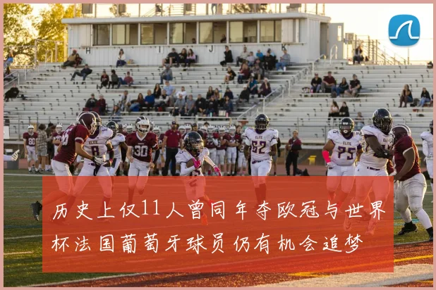 历史上仅11人曾同年夺欧冠与世界杯法国葡萄牙球员仍有机会追梦
